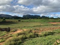 Im Tal von Vinales &ndash; &copy; Elke Knappe (Eberhardt TRAVEL)
