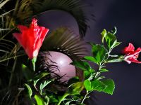 Viñales - La Luna &ndash; &copy; Heike Jack (Eberhardt TRAVEL)
