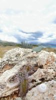 Kuba, Auf den Felsen &ndash; &copy; Manuel Gonzalez Urrutia (Eberhardt TRAVEL)