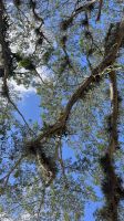 Kuba, Botanischer Garten &ndash; &copy; Manuel Gonzalez Urrutia (Eberhardt TRAVEL)