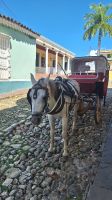 Trinidad