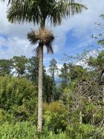 IMG_7821.JPG &ndash; &copy; Elke Knappe (Eberhardt TRAVEL)