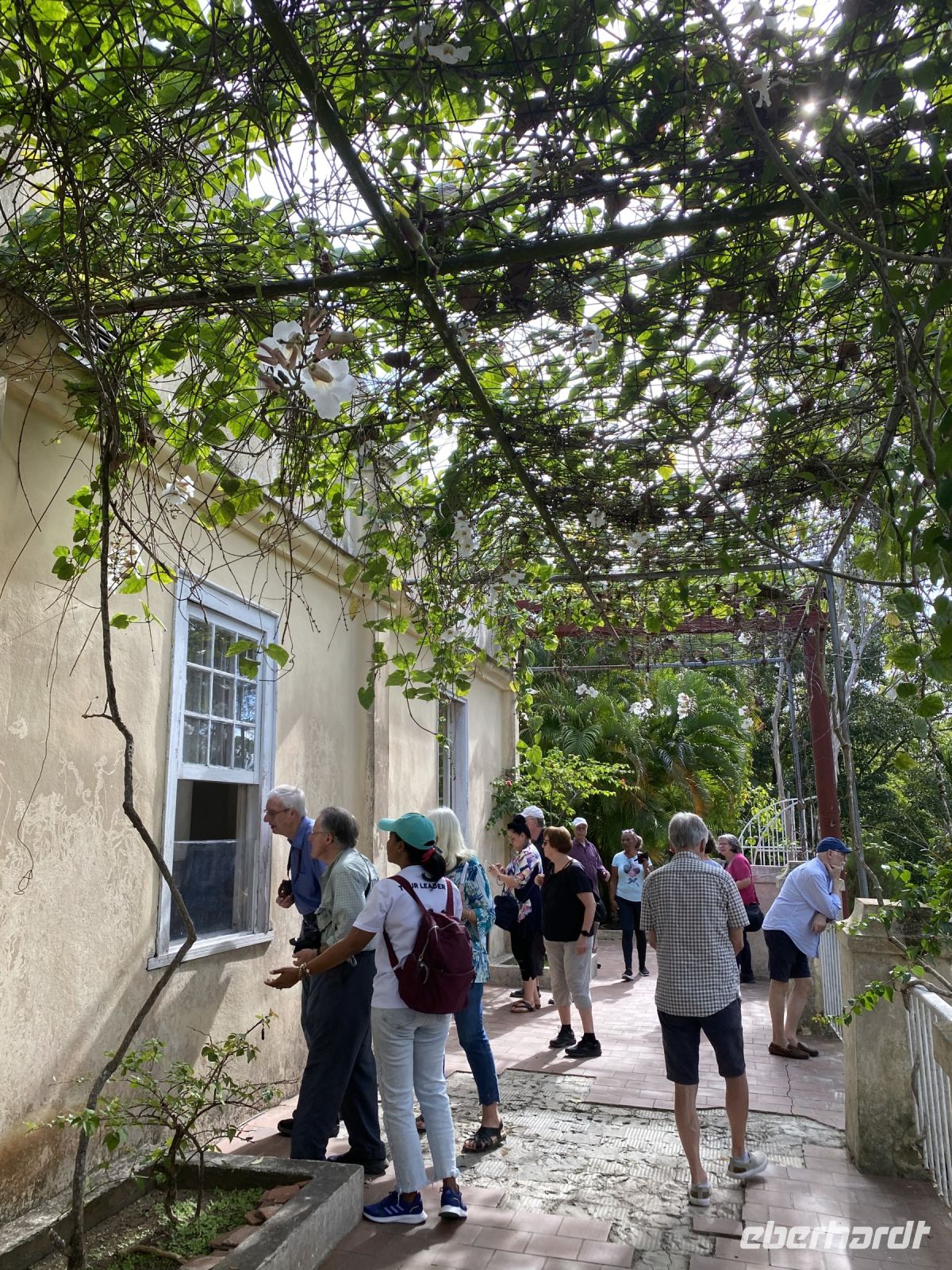 Finca Vigia, der Wohnsitz Ernest Hemingways &ndash; &copy; Elke Knappe (Eberhardt TRAVEL)