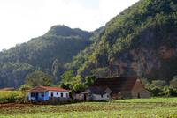 Vinalestal_Tabak &ndash; &copy; Kristin Weigel (Eberhardt TRAVEL)