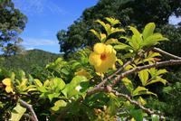 Las_Terrazas_Bergdorf &ndash; &copy; Kristin Weigel (Eberhardt TRAVEL)