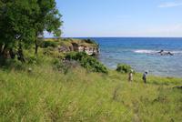 Karibikkueste &ndash; &copy; Kristin Weigel (Eberhardt TRAVEL)
