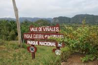 Vinales_Tal &ndash; &copy; Kristin Weigel (Eberhardt TRAVEL)