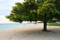 Trinidad_Strand &ndash; &copy; Kristin Weigel (Eberhardt TRAVEL)