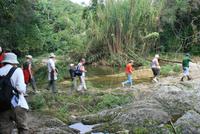 Wanderung_Regenwald &ndash; &copy; Kristin Weigel (Eberhardt TRAVEL)