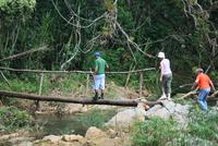 Wanderung_Regenwald &ndash; &copy; Kristin Weigel (Eberhardt TRAVEL)
