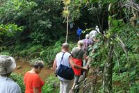 Wanderung_Regenwald &ndash; &copy; Kristin Weigel (Eberhardt TRAVEL)