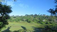 0149 Fahrt nach Baracoa &ndash; &copy; Annette Weise (Eberhardt TRAVEL)