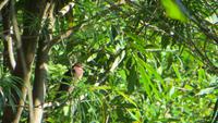 0266 Finca Duaba &ndash; &copy; Annette Weise (Eberhardt TRAVEL)