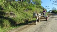 0267 Finca Duaba &ndash; &copy; Annette Weise (Eberhardt TRAVEL)