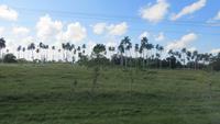 0501 Fahrt nach Trinidad &ndash; &copy; Annette Weise (Eberhardt TRAVEL)