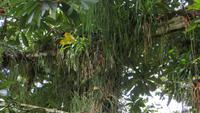 0750 Wanderung im Parque Guanayara &ndash; &copy; Annette Weise (Eberhardt TRAVEL)