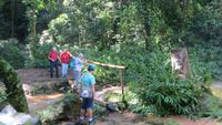 0767 Wanderung im Parque Guanayara &ndash; &copy; Annette Weise (Eberhardt TRAVEL)