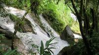 0773 Wanderung im Parque Guanayara &ndash; &copy; Annette Weise (Eberhardt TRAVEL)
