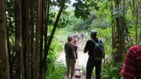 0794 Wanderung im Parque Guanayara &ndash; &copy; Annette Weise (Eberhardt TRAVEL)