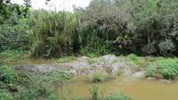 0796 Wanderung im Parque Guanayara &ndash; &copy; Annette Weise (Eberhardt TRAVEL)