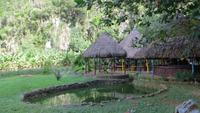 1267 Vinales-Tal - Mittagessen -Restaurant El Palenque de los Cirramones &ndash; &copy; Annette Weise (Eberhardt TRAVEL)