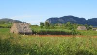 1302 Vinales - &ndash; &copy; Annette Weise (Eberhardt TRAVEL)