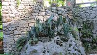 1324 Soroa - Orchideengarten &ndash; &copy; Annette Weise (Eberhardt TRAVEL)
