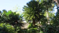 1331 Soroa - Orchideengarten &ndash; &copy; Annette Weise (Eberhardt TRAVEL)