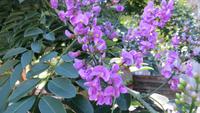 1340 Soroa - Orchideengarten &ndash; &copy; Annette Weise (Eberhardt TRAVEL)