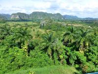 Faszination Kuba: Zigarren, Rum, karibisches Flair - Rundreise - Vinales Tal - Mogotes &ndash; &copy; Benjamin Rodriguez Manzanares (Eberhardt TRAVEL)