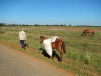 Landwirtschaft &ndash; &copy; Jens Fischer (Eberhardt TRAVEL)