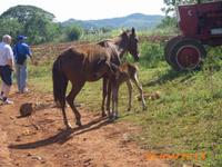 DSCI0422 &ndash; &copy; Sandra Mahr (Eberhardt TRAVEL)