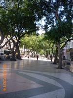 Prado Havannas &ndash; &copy; Sandra Mahr (Eberhardt TRAVEL)