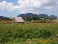 Tabakhaus &ndash; &copy; Sandra Mahr (Eberhardt TRAVEL)