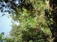 &copy; Sylvia Sann (Eberhardt TRAVEL)