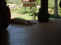 &copy; Sylvia Sann (Eberhardt TRAVEL)