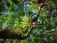 &copy; Sylvia Sann (Eberhardt TRAVEL)