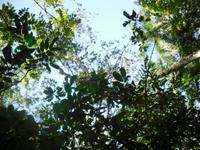 &copy; Sylvia Sann (Eberhardt TRAVEL)