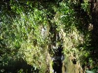 &copy; Sylvia Sann (Eberhardt TRAVEL)