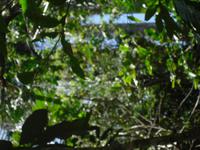 &copy; Sylvia Sann (Eberhardt TRAVEL)