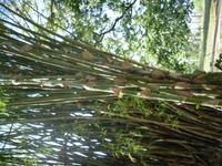 &copy; Sylvia Sann (Eberhardt TRAVEL)