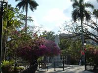 Havanna &ndash; &copy; Peggy Petzold (Eberhardt TRAVEL)
