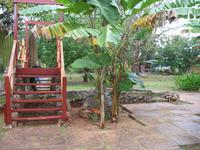 Finca 
