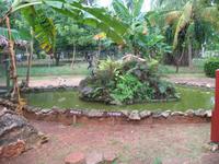 Finca 