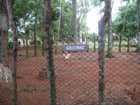 Finca 