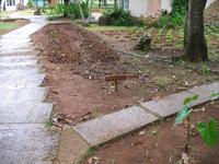 Finca 