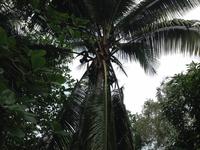 Baracoa &ndash; &copy; Francisco Javier Burgos Gutierrez (Eberhardt TRAVEL)