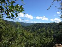 Parque Guanayara &ndash; &copy; Francisco Javier Burgos Gutierrez (Eberhardt TRAVEL)