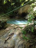 Parque Guanayara &ndash; &copy; Francisco Javier Burgos Gutierrez (Eberhardt TRAVEL)