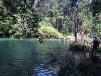 Parque Guanayara &ndash; &copy; Francisco Javier Burgos Gutierrez (Eberhardt TRAVEL)